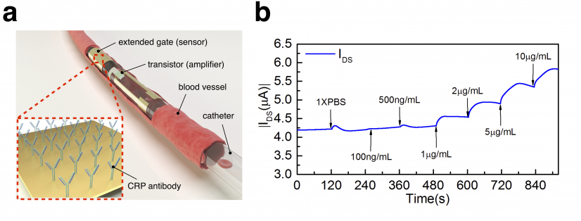 Figure 1 a) Conceptual image of a CRP sensor in ventricular catheter implanted in blood vessel.
b) Transistor channel current increase against CRP concentration.